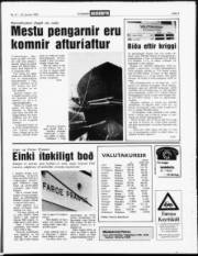 Síða 3