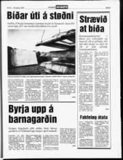 Síða 5