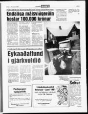 Síða 7