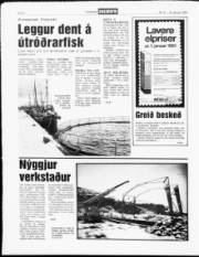 Síða 8