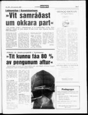 Síða 7