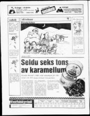 Síða 20