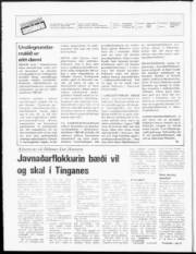 Síða 2