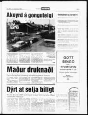 Síða 3