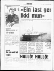 Síða 6