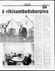 Síða 13