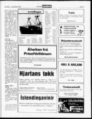 Síða 15