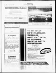 Síða 19