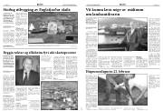 Síða 6