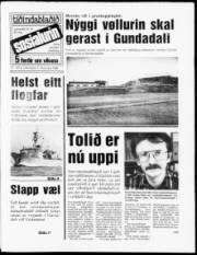 Síða 1