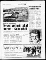 Síða 3