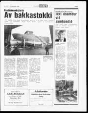Síða 5