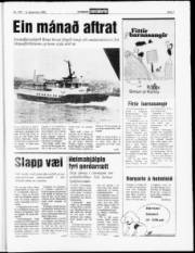 Síða 7
