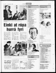 Síða 15