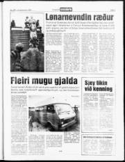 Síða 3