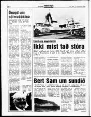 Síða 4
