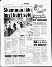 Síða 3