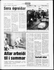 Síða 3
