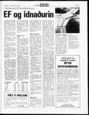 Síða 11