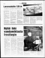 Síða 6