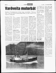 Síða 12