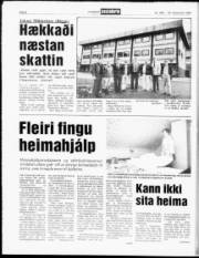 Síða 8