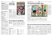 Síða 17