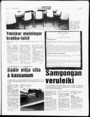 Síða 5