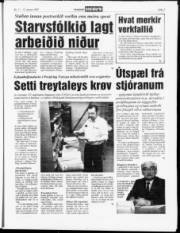 Síða 7