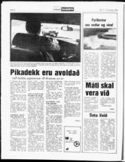 Síða 8