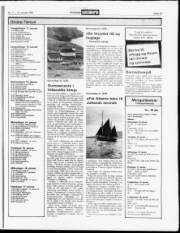Síða 13