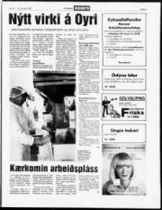Síða 3
