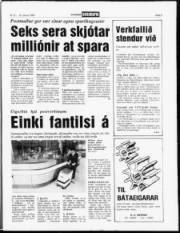 Síða 5