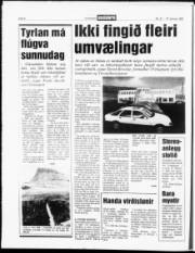 Síða 6