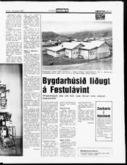Síða 13