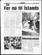 Síða 14