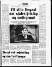 Síða 15