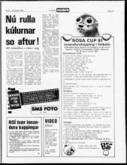 Síða 19