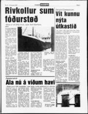 Síða 3