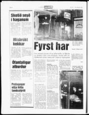 Síða 6