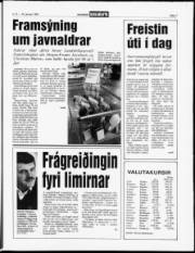 Síða 7