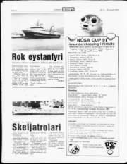 Síða 10