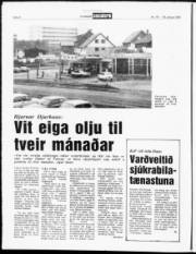 Síða 8