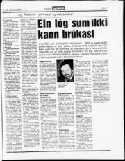Síða 17