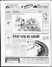 Síða 20