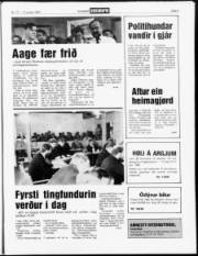 Síða 3