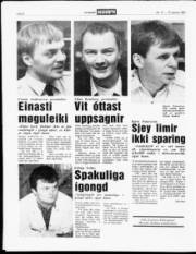 Síða 8