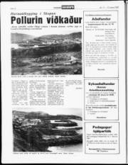 Síða 12
