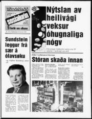 Síða 1