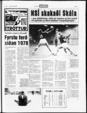 Síða 17